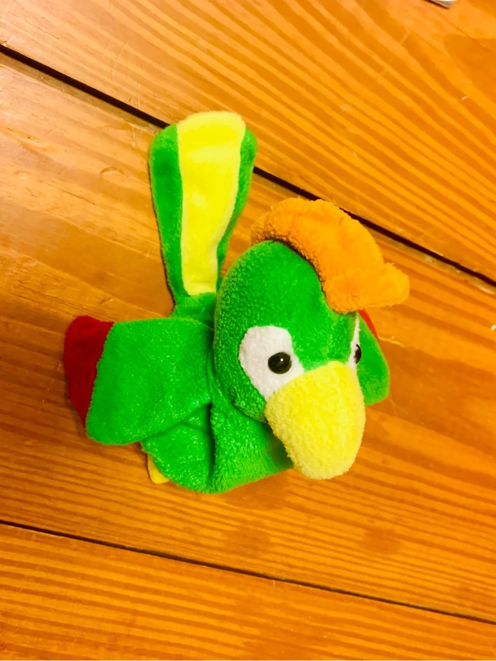 Born Pirates Coloring & Activity Book with 1001 pirate book & Plush Parrot